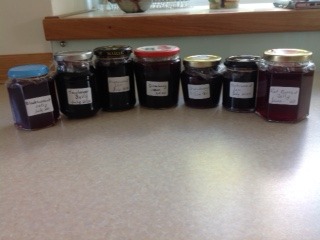 Several varieties of jam made by Jenny from the soft fruit in her garden